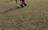 IMG-393ca7fc562e9311318ee4de200927c4-V_2_11zon